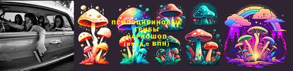 винт Елабуга
