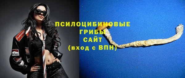 синтетический гашиш Елизово